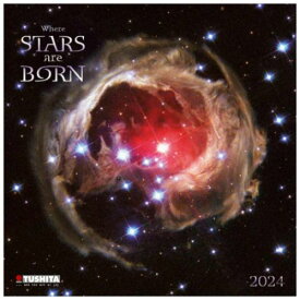 壁掛けカレンダー2024年 2024 Calendar TUSHITA Where Stars are Born 写真 宇宙 インテリア 令和6年暦