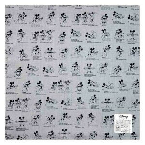 nJ` nJ`[t ~bL[}EX ACR fBYj[ or[i wG [։