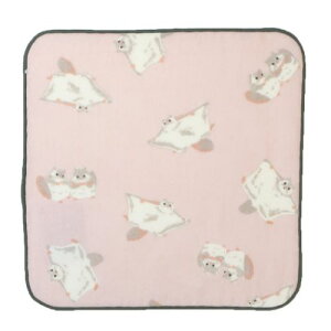 K[[^I ~j^I K sN tYq ЖʃK[[nJ`^I 킢 [։