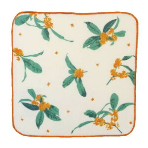 K[[^I ~j^I tCOg tYq ЖʃK[[nJ`^I 킢 [։