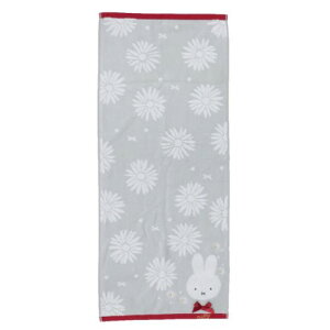 V[OO^I tFCX^I ~btB[ }[KbgXg[g fBbNu[i  VG G{[։