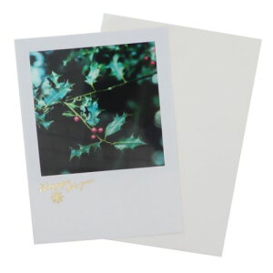 VA[|XgJ[h NX}XJ[h A̐Ԃ APJ tO[eBOJ[h Xmas [։