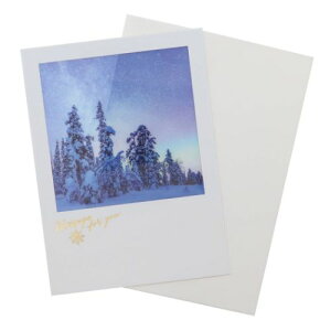 VA[|XgJ[h NX}XJ[h ̌ APJ tO[eBOJ[h Xmas [։