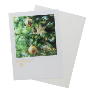 VA[|XgJ[h NX}XJ[h c[I[ig APJ tO[eBOJ[h Xmas [։