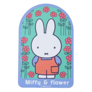 _CJbgV[ LN^[XebJ[ ~btB[ Ԕ fBbNu[i X[vlbg fRV[ G{[։