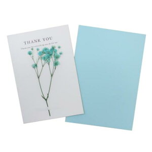 hCt[ O[eBOJ[h TL[ ANeBuR[|[V bZ[WJ[h t [։