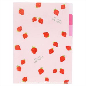 NAt@CA5 3|Pbg |Pbgt@C ICHIGO4 B Vw TX^[ Vw [։