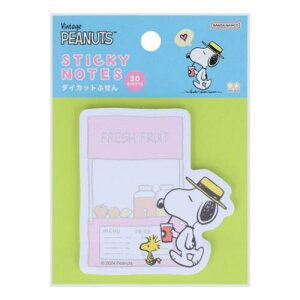 _CJbgt t Xk[s[  s[ibc TX^[ ӂ bZ[W wZ [։