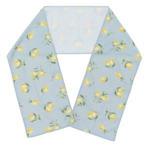 N[^I ėpЂ胍O^I [lK[f ~g tYq FRIENDSHILL MǑ΍ AEghApi [։