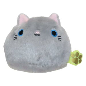 ~jʂ }XRbg ˂ ͂  L Opf v[g 킢