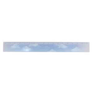 17cm XXg[gXP[ ̂ \C^C }[uXJC N[A K Vw 킢 [։