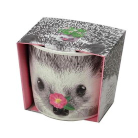 ハナ＆アニマルズ 栽培キット ハリネズミ ミニバラ 聖新陶芸 栽培セット 植物 屋内 家庭菜園 プレゼント