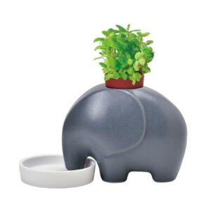 Gvg ͔|Lbg O[ Abv~g V| ͔|Zbg n[u  ƒ؉ v[g