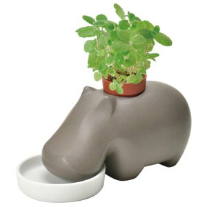 q||vg ͔|Lbg uE Abv~g V| ͔|Zbg n[u  ƒ؉ v[g