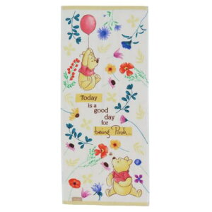 V[OO^I tFCX^I ܂̃v[ nslXt[fC fBYj[  VG [։