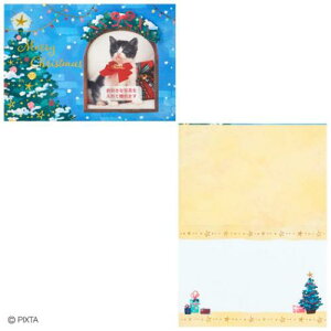 NX}XJ[h JX8-4 O[eBOJ[h CHRISTMAS tHgt[  TI v[g bZ[WJ[h [։