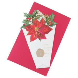 NX}Xu[PJ[h NX}XJ[h zCg APJ tO[eBOJ[h Xmas [։