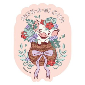 zOXebJ[B LN^[XebJ[ fBYj[vZX fBYj[ CbN fRV[ [։