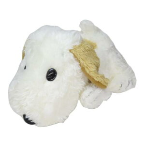 vbVh[S ʂ Xk[s[ uU[YHAI AfB s[ibc iJW} v[g