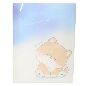 10|PbgNAt@C A4 |Pbgt@C E`mtt Ck J~IWp Vw 킢