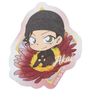 ANXebJ[ _CJbgV[ TRi Ղӂ ԈG NTf[ ACAbv fR[V Aj[։