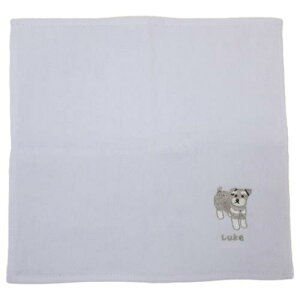 Aj}hJ^InJ` ~j^I [N  ~gC @^I 킢 [։