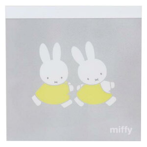 pbhXNGA  ~btB[ friend Vw fBbNu[i Green Flash Vw pi G{[։