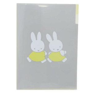 A4|PbgNAt@C |Pbgt@C ~btB[ friend Vw fBbNu[i Green Flash Vw G{[։