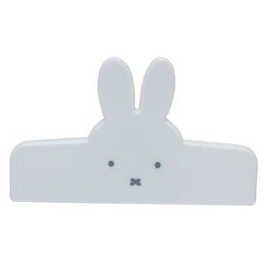 tFCXNbv Nbv ~btB[ gray fBbNu[i Green Flash pi G{