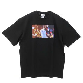 ビッグT-SHIRTS Tシャツ パペットスンスン ライト BK PUPPET SUNSUN ワタナベ 半袖 メール便可