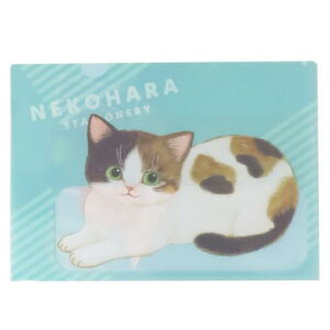 A4|Pbgt@C |Pbgt@C ˂n O[ Vw ˂ wXeCt Vw 킢 [։