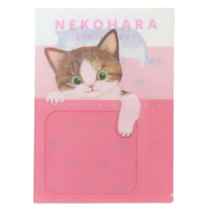 A4|Pbgt@C |Pbgt@C ˂n sN Vw ˂ wXeCt Vw 킢 [։