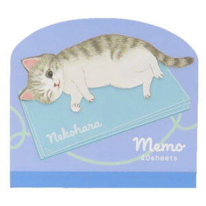 _CJbg  ˂n u[ Vw ˂ wXeCt Vw 킢 [։