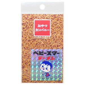 LLV[ XebJ[ Jpj[ xr[X^[[ エَqpbP[W [lXebJ[ fRXebJ[ [։