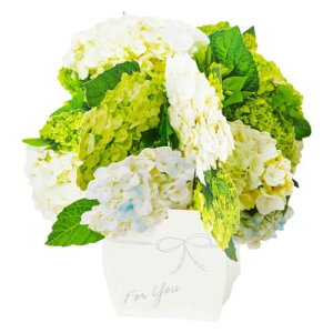 VJ JES 8-5 ̃J[h O[eBOJ[h  ԕrɔAWTC TI ړI bZ[WJ[h t [։