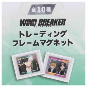 g[fBOt[}Olbg S10  WIND BREAKER }Ntg RNVG Aj[։