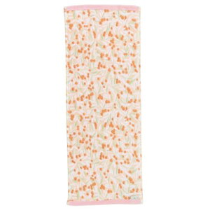 K[[ ÔQ pC XLj[^I tFCX^I polku |N bc@}  V  [։