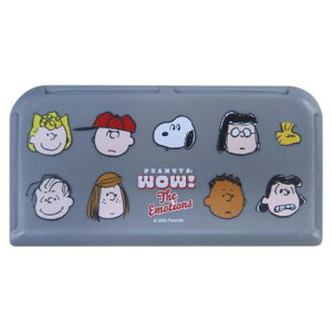 }`J[h|Pbg ԓCeA Xk[s[ s[ibc O MEIHO J[h[ J[pi [։