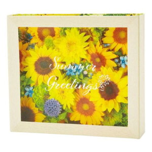シヨチユウJSP 38-5 グリーティングカード サマー ヒマワリフラワーボックス サンリオ 暑中お見舞い メッセージカード メール便可