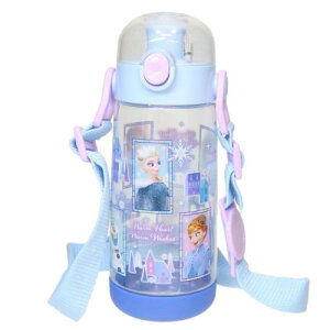 ワンプッシュダイレクトボトル 水筒 アナと雪の女王 480ml ディズニー スケーター 直飲み キッズ