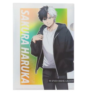 ^bNNAt@C A4 NAtH_[ WIND BREAKER EBhuCJ[  ACAbv Vw Aj[։