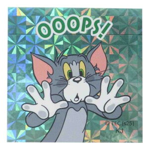 RLXebJ[ XebJ[ gƃWF[ g2 [i[uU[X J~IWp fRV[ [։