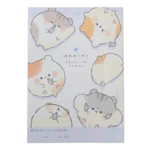 B5Am[g Ă A ͂ނށ[ J~IWp Vw 킢 [։