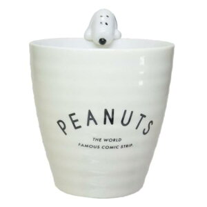 tBMAt ̂ Xk[s[ AC{[ s[ibc }Ntg LN^[H