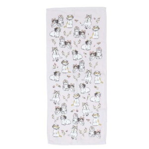 ЖʃK[[vgO^I tFCX^I tYLPL ˂ ~gC V 킢 [։