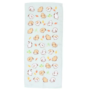 ЖʃK[[vgO^I tFCX^I bvC[MT Aj} ~gC V 킢 [։