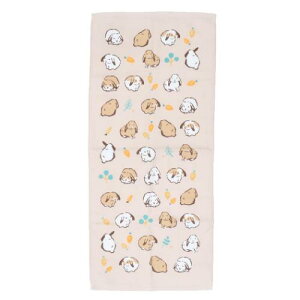 ЖʃK[[vgO^I tFCX^I bvC[PK Aj} ~gC V 킢 [։