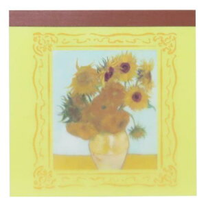 pbh XNGA  DAILY MUSEUM Ђ܂ Green Flash Vw Sbz  [։