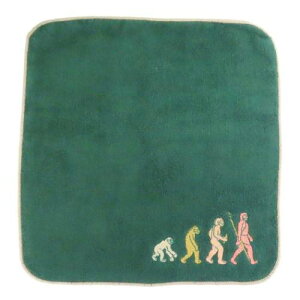 ^InJ` ~j^I STUDY HOLIC iw Green Flash @^I G w w [։