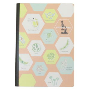 A5m[g rm[g STUDY HOLIC w Green Flash ~jm[g w w [։